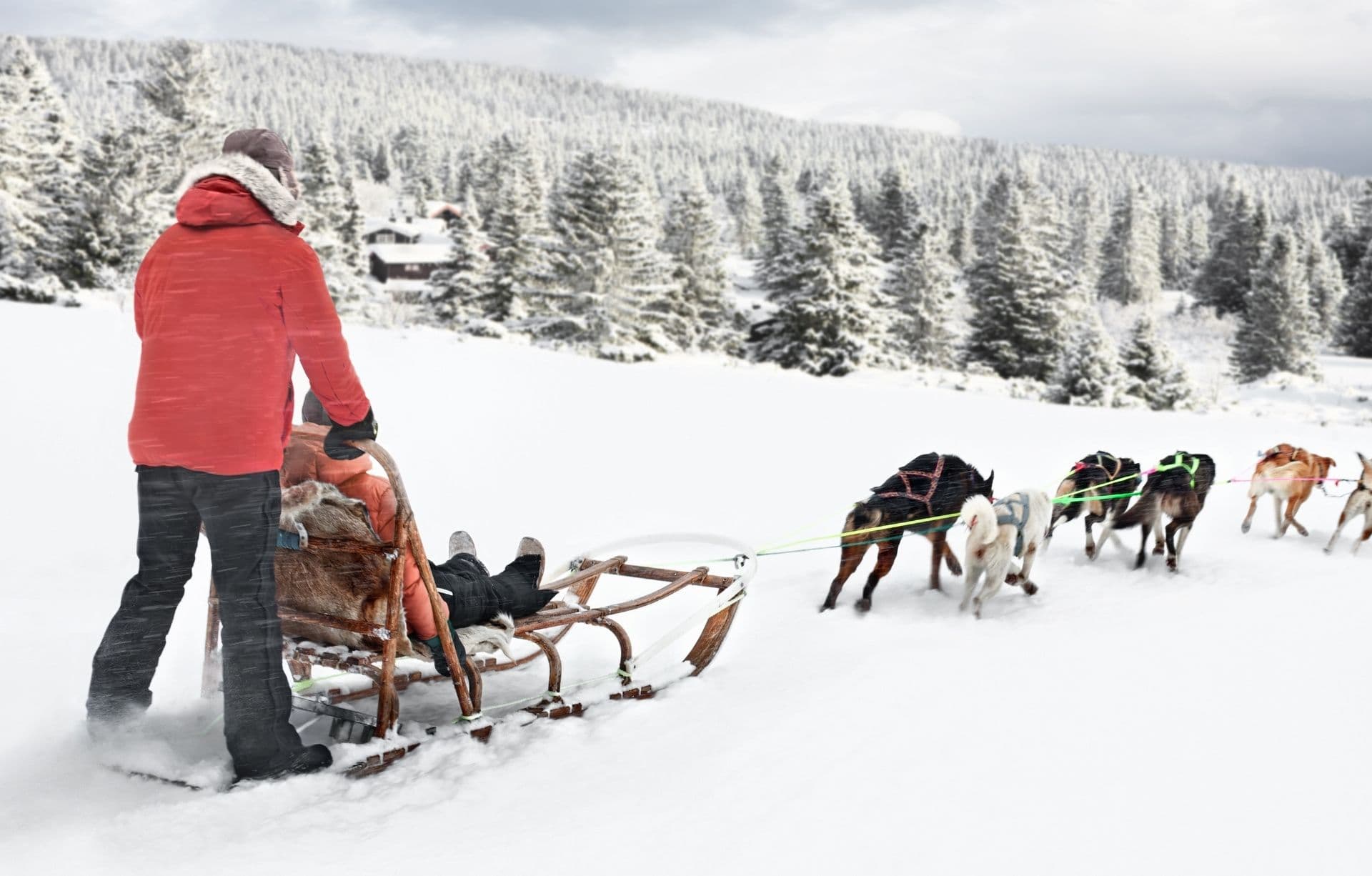 Dog sledding in Rauland
